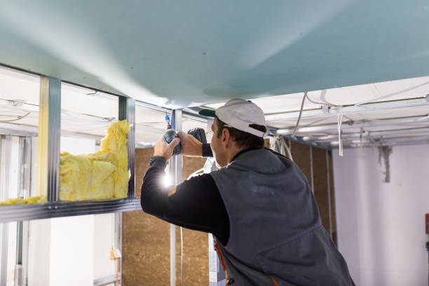 Best Energy Efficiency Insulation in Bloomington, TX