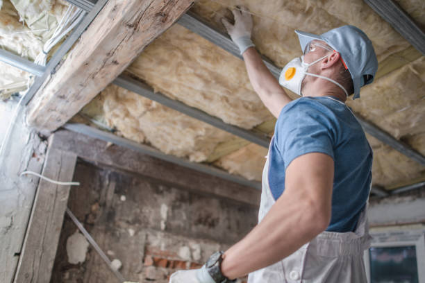 Best Commercial Insulation in Bloomington, TX