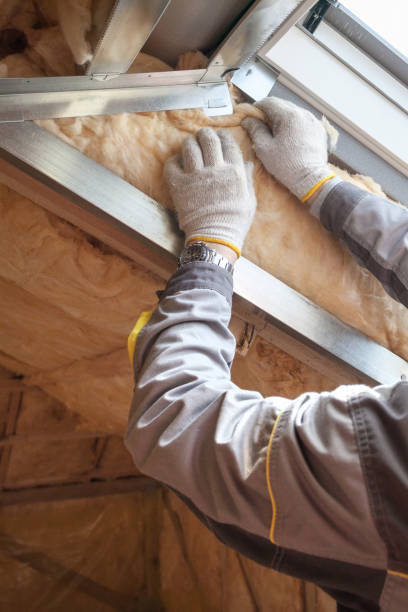 Best Eco-Friendly Insulation in Bloomington, TX