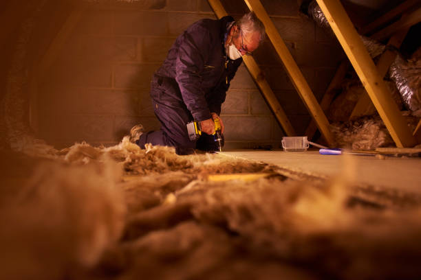 Best Geographic-Specific Insulation Services in Bloomington, TX